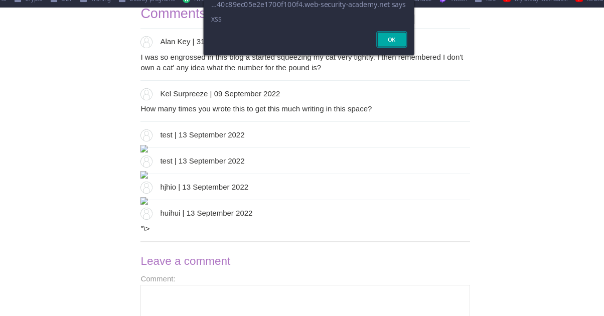 XSS Injection Test
